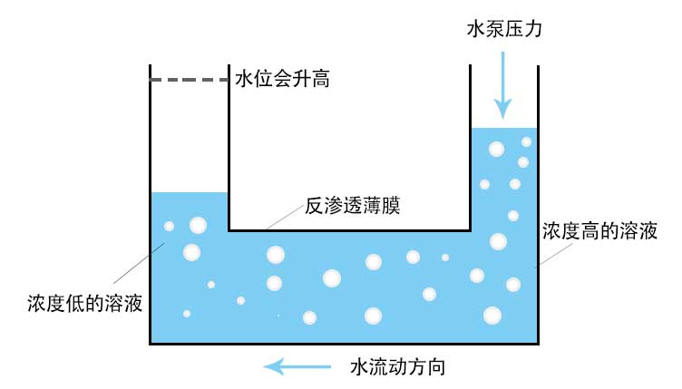 反滲透效應