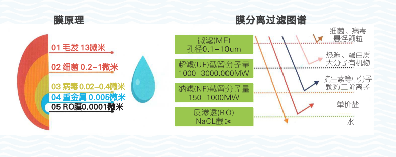 污水處理工藝